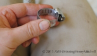 A simple hose clamp. Open the band using a screwdriver.